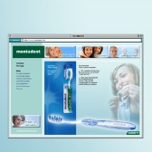 Das Internet 1998